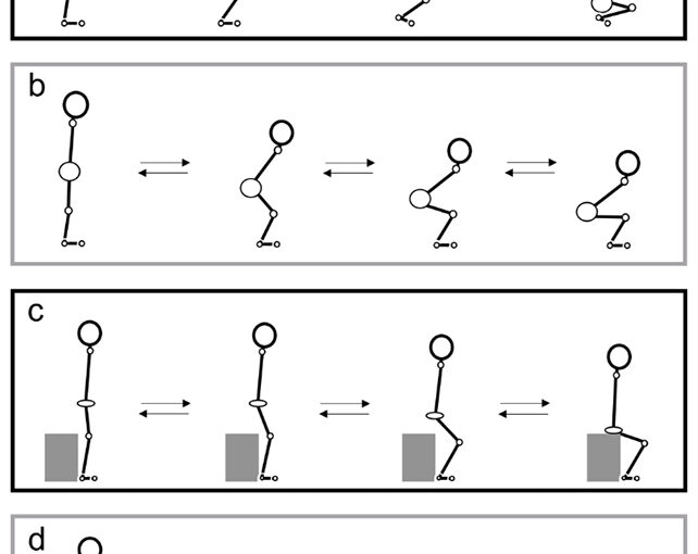 روتین روزانه سامورایی می‌تواند خطر زمین خوردن در سالمندان را کاهش دهد
