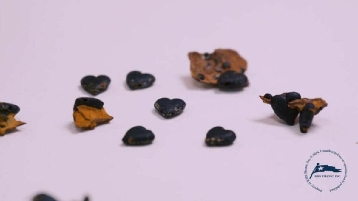 گردنبند یکی از مسافران تایتانیک پس از سال‌ها از میان بقایای کشتی پیدا شد